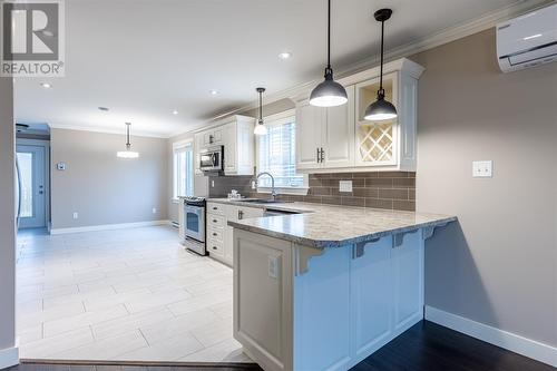 29 Sitka Street, St. John'S, NL - Indoor Photo Showing Kitchen With Upgraded Kitchen