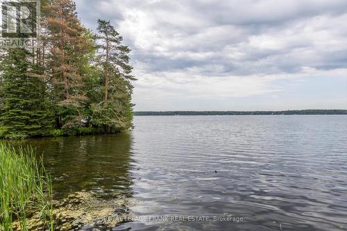 3033 Freeburn Lane, Smith-Ennismore-Lakefield (Lakefield), ON - Outdoor With Body Of Water With View