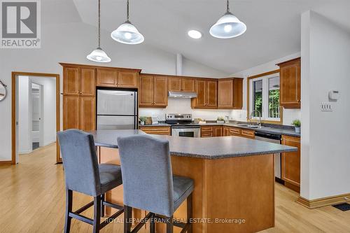 3033 Freeburn Lane, Smith-Ennismore-Lakefield (Lakefield), ON - Indoor Photo Showing Kitchen With Double Sink