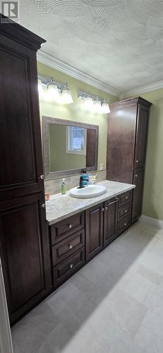 227-229 Main Street, Lewins Cove, NL - Indoor Photo Showing Bathroom