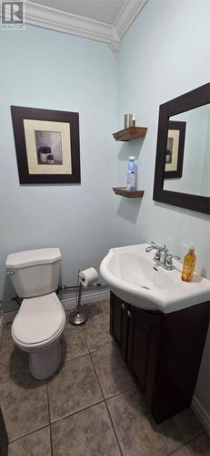 227-229 Main Street, Lewins Cove, NL - Indoor Photo Showing Bathroom