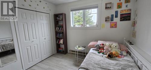 227-229 Main Street, Lewins Cove, NL - Indoor Photo Showing Bedroom