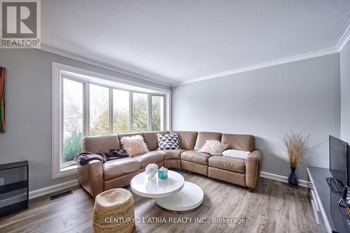 386 Paliser Crescent N, Richmond Hill, ON - Indoor Photo Showing Living Room