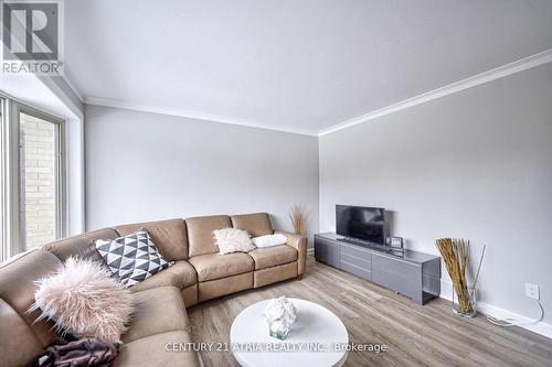 386 Paliser Crescent N, Richmond Hill, ON - Indoor Photo Showing Living Room