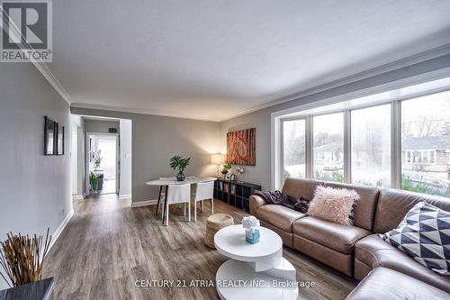 386 Paliser Crescent N, Richmond Hill, ON - Indoor Photo Showing Living Room