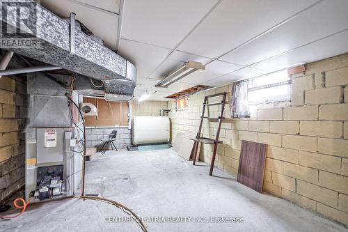 386 Paliser Crescent N, Richmond Hill, ON - Indoor Photo Showing Basement