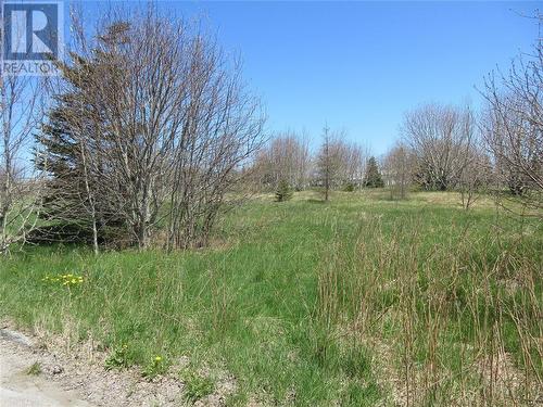 0 Garlands Street, Harbour Grace, NL - Outdoor With View