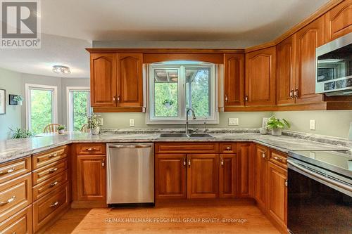 2320 7Th Line, Innisfil, ON - Indoor Photo Showing Kitchen With Double Sink