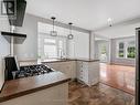 430 Ridge Road N, Fort Erie (335 - Ridgeway), ON  - Indoor Photo Showing Kitchen 