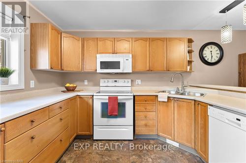 55 Thorold Avenue, Thorold (Port Robinson), ON - Indoor Photo Showing Kitchen With Double Sink