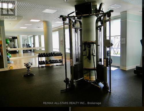 1233 - 35 Viking Lane, Toronto, ON - Indoor Photo Showing Gym Room