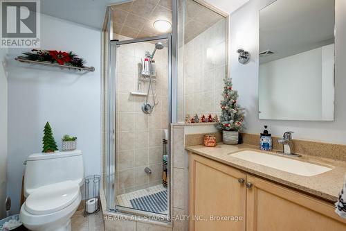 1233 - 35 Viking Lane, Toronto, ON - Indoor Photo Showing Bathroom