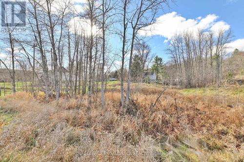 14686 Road 509, North Frontenac, ON - Outdoor With View