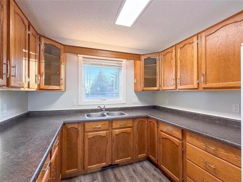 1003 Patricia Avenue, Brandon, MB - Indoor Photo Showing Kitchen With Double Sink