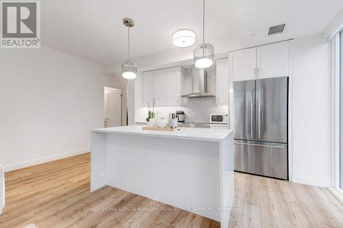 1103 - 500 Brock Avenue, Burlington, ON - Indoor Photo Showing Kitchen With Stainless Steel Kitchen With Upgraded Kitchen