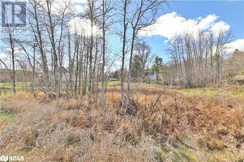 View of local wilderness - 14686 County Road 509, Mississippi Station, ON - Outdoor With View