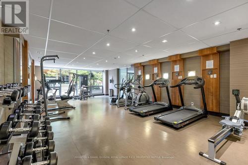 702 - 205 Frederick Street, Toronto, ON - Indoor Photo Showing Gym Room