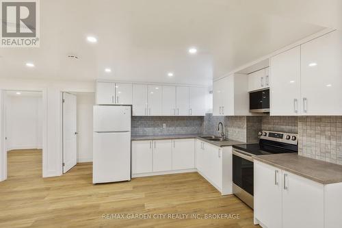 Bsmnt - 1603 Marina Drive, Fort Erie (334 - Crescent Park), ON - Indoor Photo Showing Kitchen With Double Sink With Upgraded Kitchen