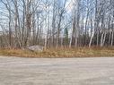 Land/Lot - 95 Ch. Du Rivage, Val-Des-Monts, QC 