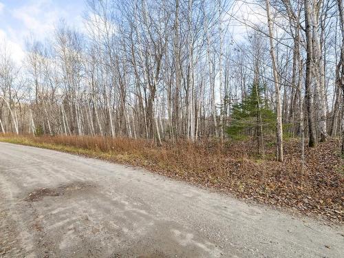 Land/Lot - 95 Ch. Du Rivage, Val-Des-Monts, QC 