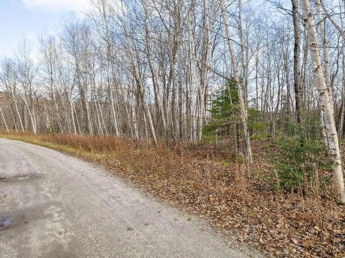 Land/Lot - 95 Ch. Du Rivage, Val-Des-Monts, QC 