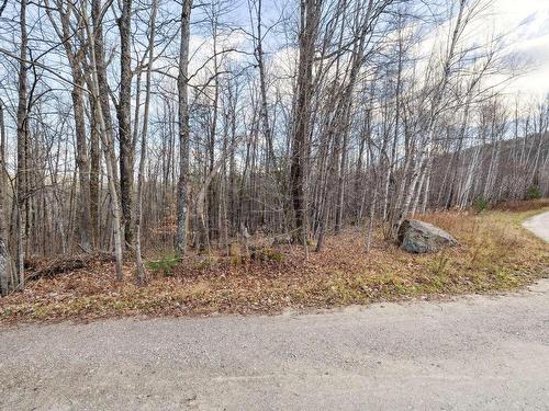 Land/Lot - 95 Ch. Du Rivage, Val-Des-Monts, QC 