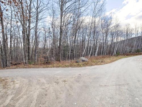 Land/Lot - 95 Ch. Du Rivage, Val-Des-Monts, QC 