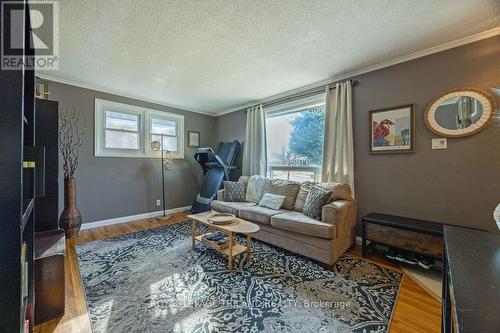 218 Sterling Street, London, ON - Indoor Photo Showing Living Room