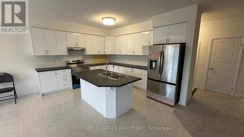 126 Hitchman Street, Brant, ON - Indoor Photo Showing Kitchen With Double Sink