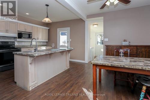 26 Meda Street, St. Thomas, ON - Indoor Photo Showing Kitchen With Double Sink