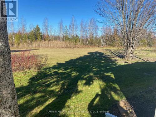 11 Fenelon Way, Kawartha Lakes (Lindsay), ON 