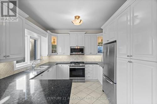 9 Mill Walk Court, Richmond Hill, ON - Indoor Photo Showing Kitchen With Double Sink With Upgraded Kitchen