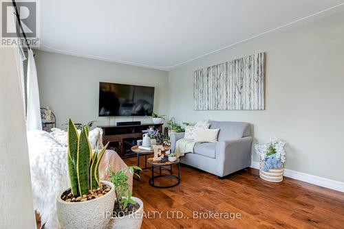 51 Radford Avenue, Cambridge, ON - Indoor Photo Showing Living Room