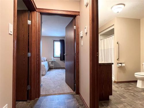 95 Alexander Street, Treherne, MB - Indoor Photo Showing Bathroom