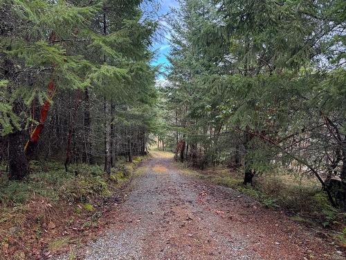 Lot 9 Seymour Rd, Gabriola Island, BC 