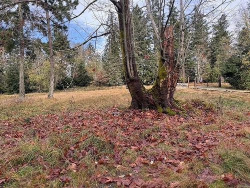 Lot 9 Seymour Rd, Gabriola Island, BC 