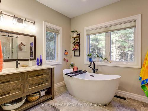 211721 Baseline, West Grey, ON - Indoor Photo Showing Bathroom