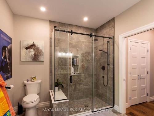 211721 Baseline, West Grey, ON - Indoor Photo Showing Bathroom