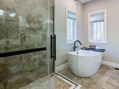 211721 Baseline, West Grey, ON - Indoor Photo Showing Bathroom