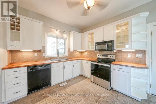 246 Thames Street N, Ingersoll (Ingersoll - North), ON - Indoor Photo Showing Kitchen With Double Sink