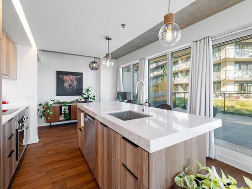 View - 314-101 Rue Peel, Montréal (Le Sud-Ouest), QC - Indoor Photo Showing Kitchen With Upgraded Kitchen