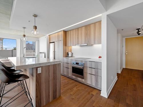 Overall view - 314-101 Rue Peel, Montréal (Le Sud-Ouest), QC - Indoor Photo Showing Kitchen With Upgraded Kitchen