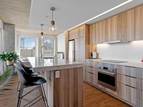 Kitchen - 314-101 Rue Peel, Montréal (Le Sud-Ouest), QC - Indoor Photo Showing Kitchen With Upgraded Kitchen