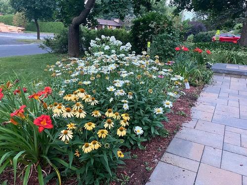 Jardin - 1951 Rue De Bedford, Saint-Bruno-De-Montarville, QC - Outdoor