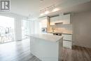 2509 - 238 Simcoe Street, Toronto, ON  - Indoor Photo Showing Kitchen 