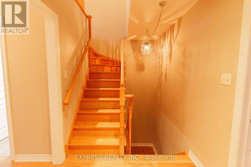 12 Routliffe Lane, Toronto, ON - Indoor Photo Showing Other Room