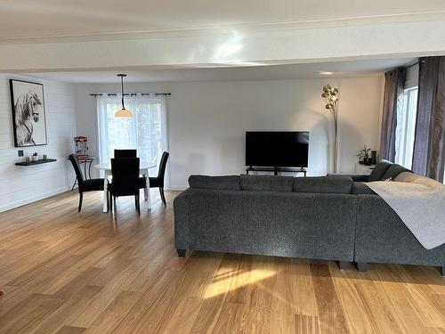 Salon - 129 Ch. Bourassa, Amherst, QC - Indoor Photo Showing Living Room