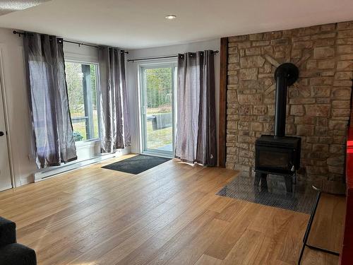 Salon - 129 Ch. Bourassa, Amherst, QC - Indoor Photo Showing Living Room With Fireplace