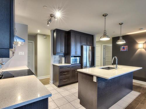 Kitchen - 304-116 Rue Dubois, Saint-Eustache, QC - Indoor Photo Showing Kitchen With Double Sink With Upgraded Kitchen