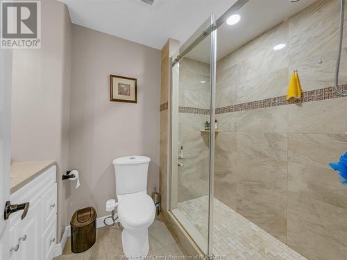 4120 Anthony Court, Windsor, ON - Indoor Photo Showing Bathroom